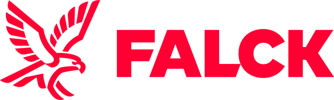 Moodle Falck